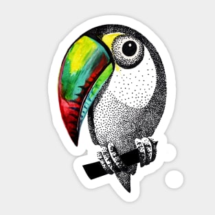 toucan Sticker